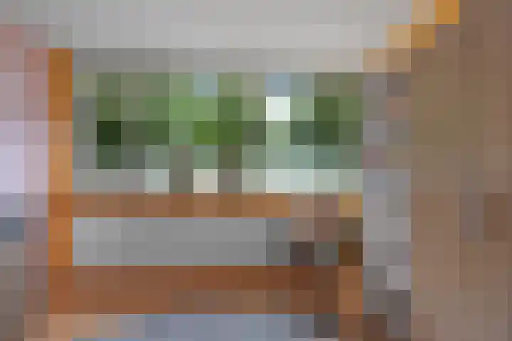 Nassaustraat 28 Dalerpeel thumbnail 19
