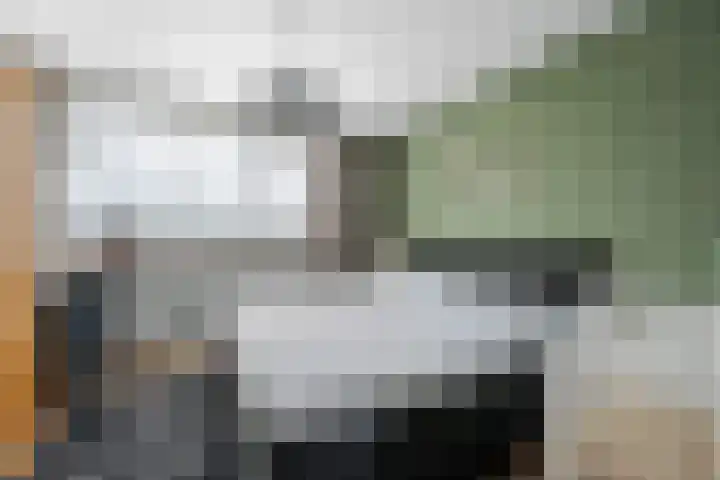 Nassaustraat 28 Dalerpeel thumbnail 21