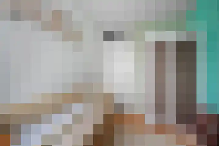 Nassaustraat 28 Dalerpeel thumbnail 24