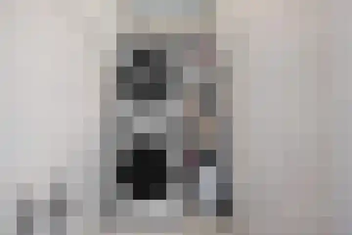 Nassaustraat 28 Dalerpeel thumbnail 28