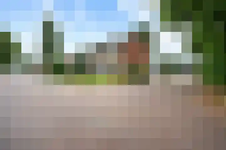 Nassaustraat 28 Dalerpeel thumbnail 30