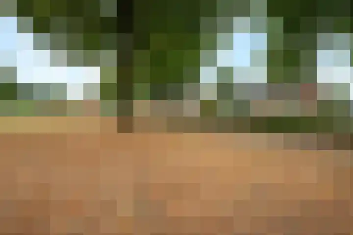 Nassaustraat 28 Dalerpeel thumbnail 31