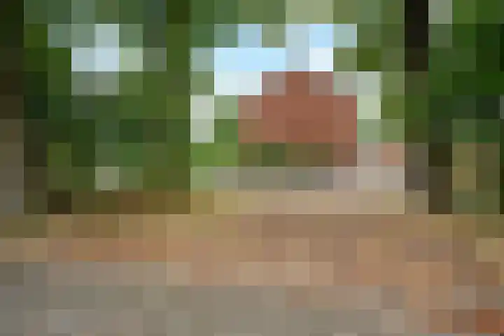 Nassaustraat 28 Dalerpeel thumbnail 32
