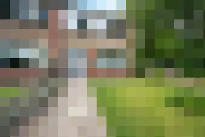 Nassaustraat 28 Dalerpeel thumbnail 33