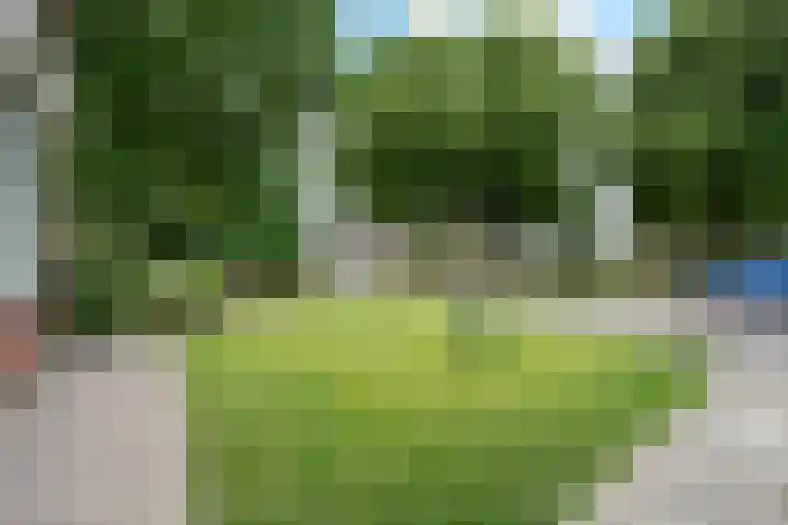 Nassaustraat 28 Dalerpeel thumbnail 34