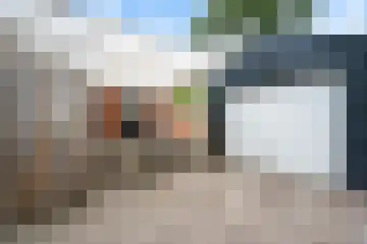 Nassaustraat 28 Dalerpeel thumbnail 35