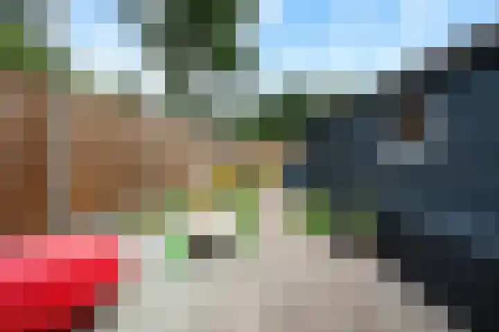 Nassaustraat 28 Dalerpeel thumbnail 38