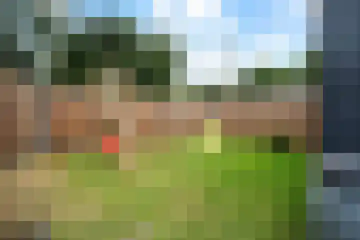 Nassaustraat 28 Dalerpeel thumbnail 39