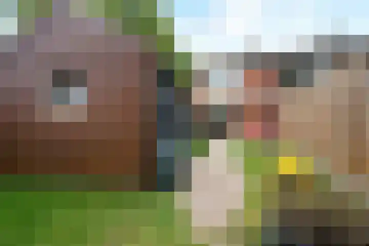 Nassaustraat 28 Dalerpeel thumbnail 40