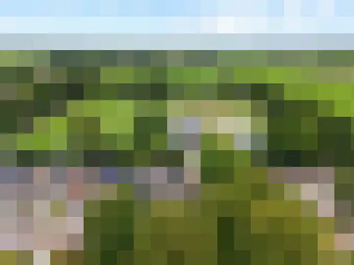 Nassaustraat 28 Dalerpeel thumbnail 41