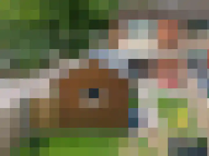 Nassaustraat 28 Dalerpeel thumbnail 42