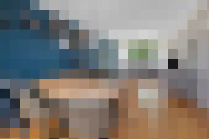 Nassaustraat 28 Dalerpeel thumbnail 6