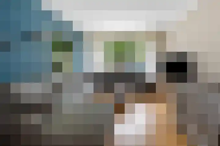 Nassaustraat 28 Dalerpeel thumbnail 9