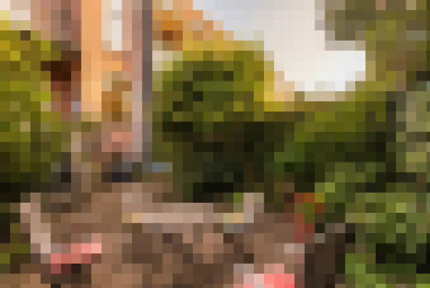Nassaustraat 28 Utrecht thumbnail 28