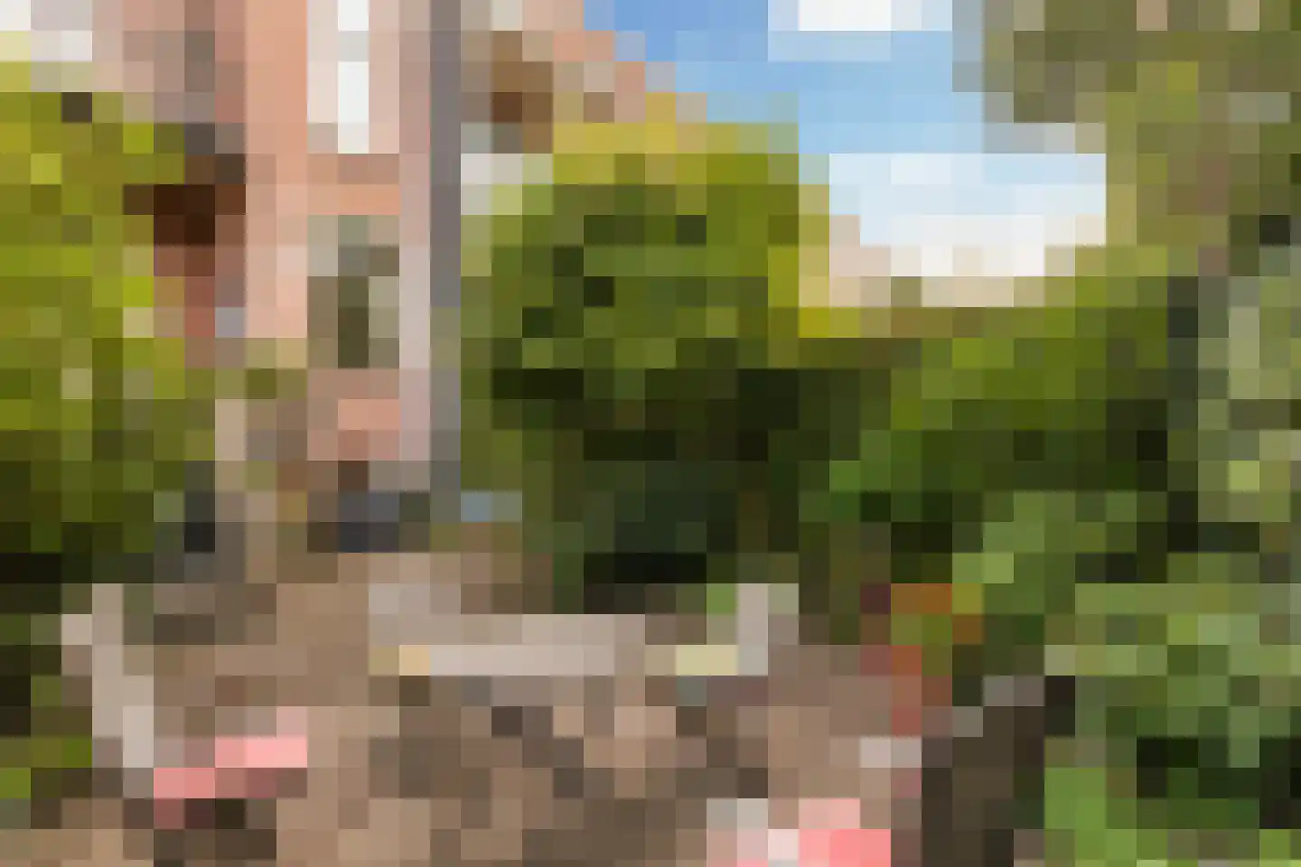 Nassaustraat 28 Utrecht thumbnail 38