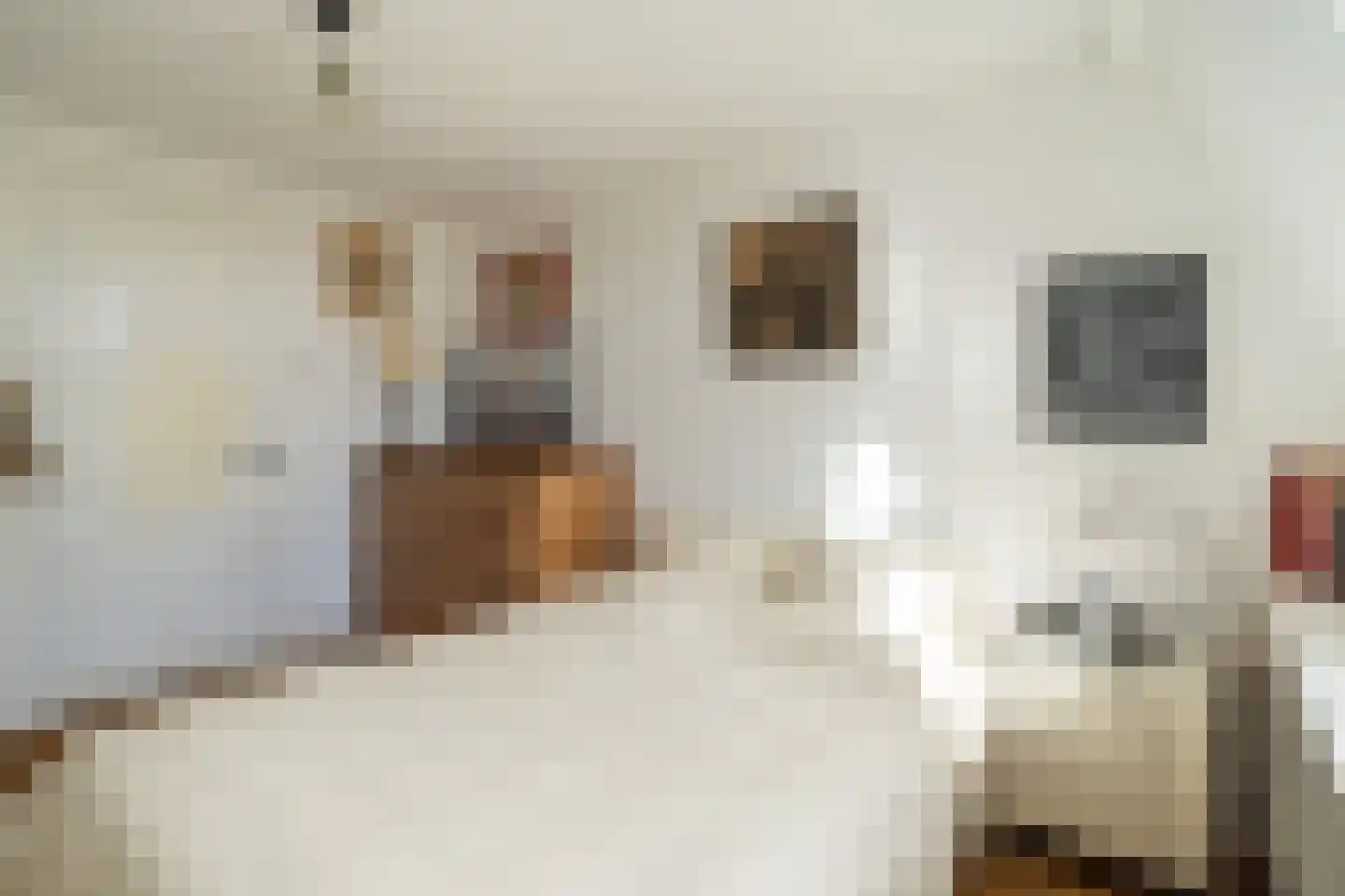Nassaustraat 28 Utrecht thumbnail 55