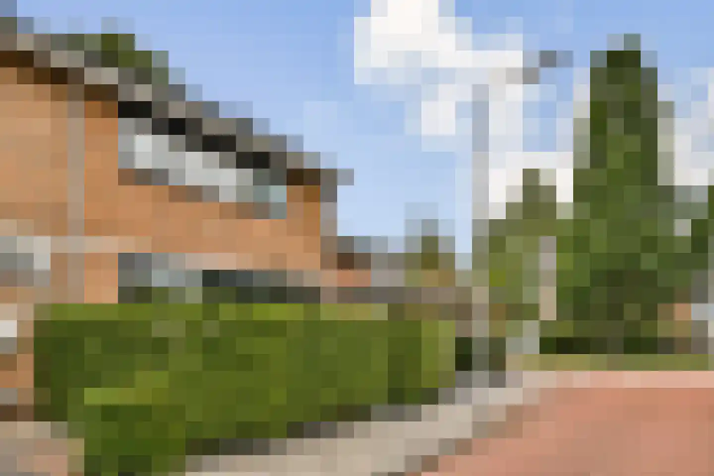 Nassaustraat 29 Poortugaal thumbnail 6