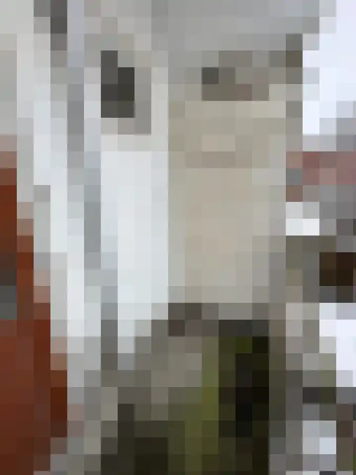 Nassaustraat 3 a Groningen thumbnail 25