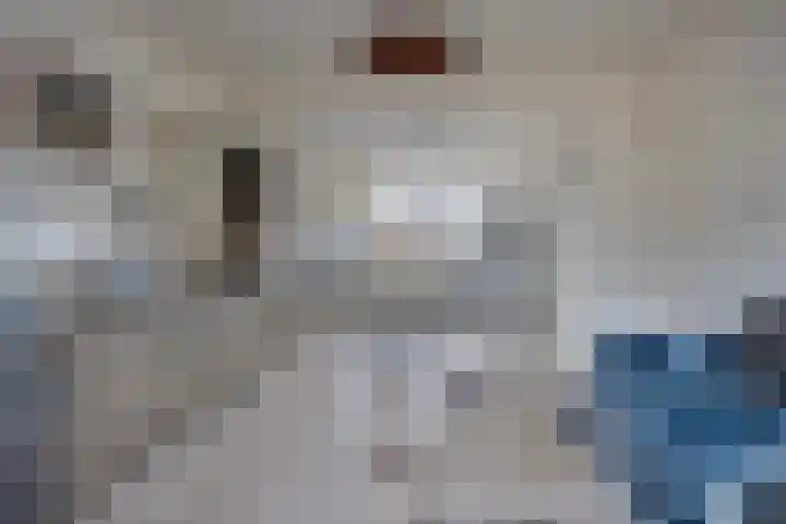 Nassaustraat 3 A Venlo thumbnail 11