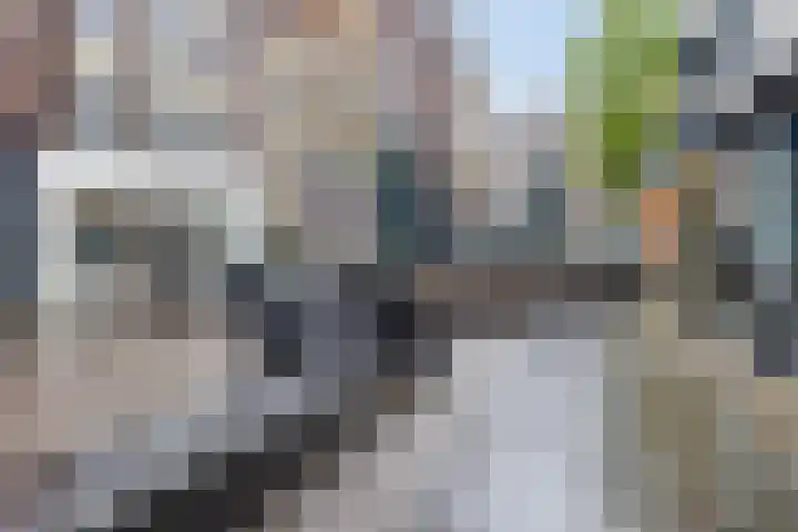 Nassaustraat 3 A Venlo thumbnail 16