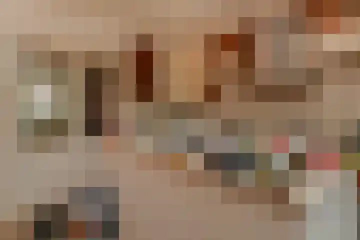 Nassaustraat 3 Boskoop thumbnail 10