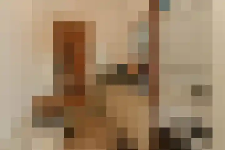 Nassaustraat 3 Boskoop thumbnail 17