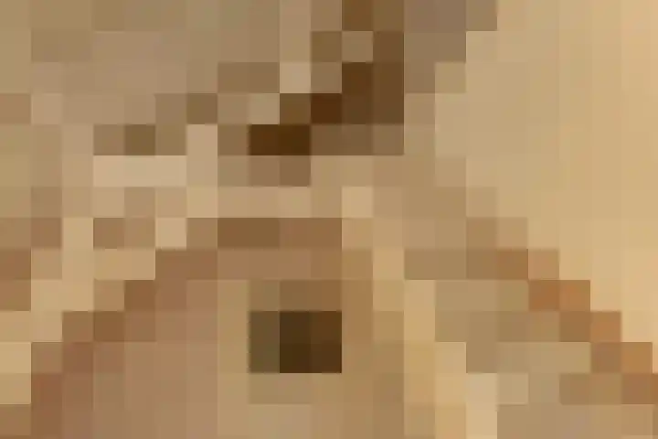 Nassaustraat 3 Boskoop thumbnail 31