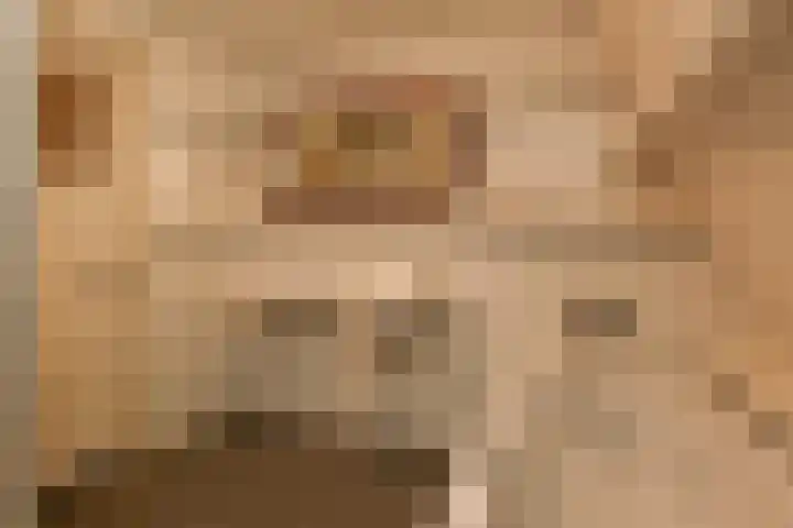 Nassaustraat 3 Boskoop thumbnail 35