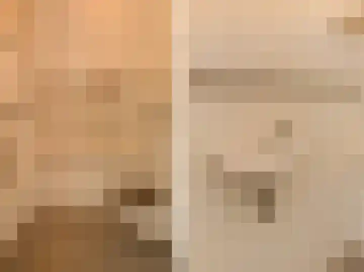 Nassaustraat 3 Boskoop thumbnail 37
