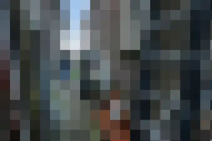 Nassaustraat 3 Boskoop thumbnail 41