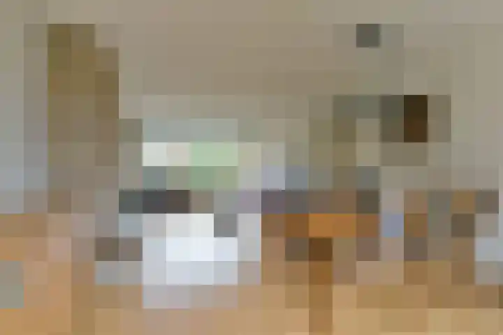 Nassaustraat 3 Bunnik thumbnail 15
