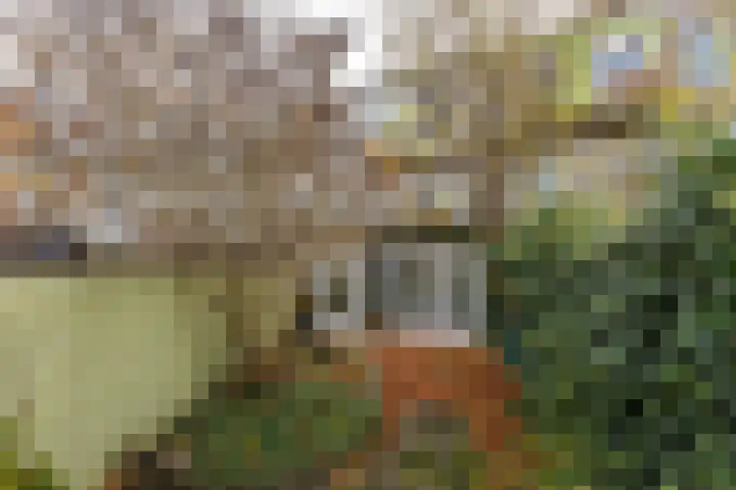 Nassaustraat 3 Groningen thumbnail 30