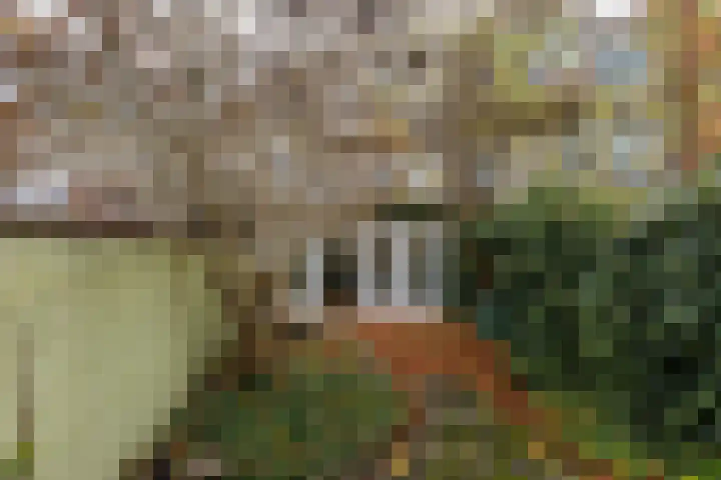 Nassaustraat 3 Groningen thumbnail 31