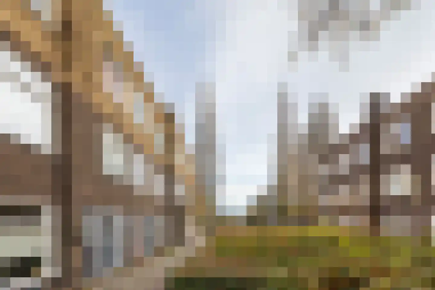 Nassaustraat 3 Groningen thumbnail 34