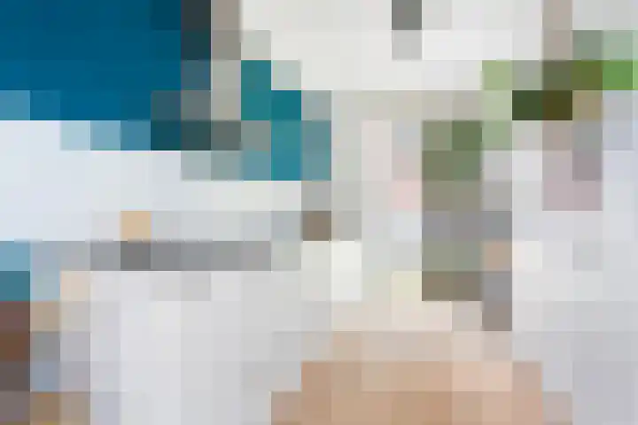 Nassaustraat 3 Rotterdam thumbnail 10