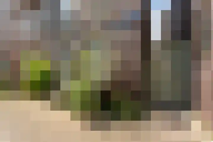 Nassaustraat 3 Rotterdam thumbnail 4