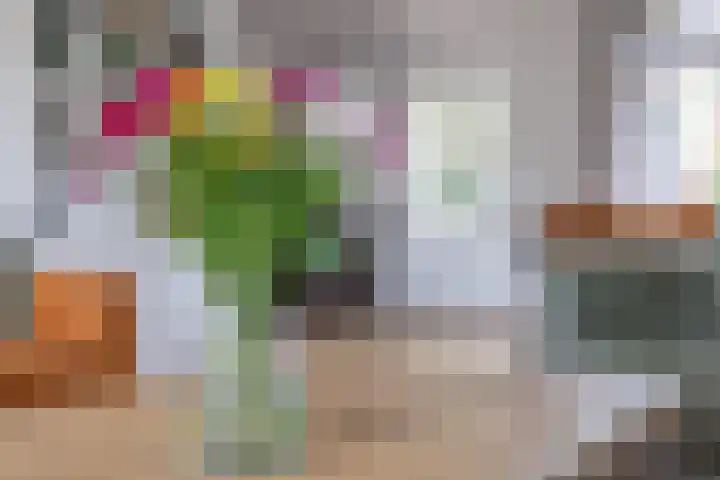 Nassaustraat 31 Rijssen thumbnail 12