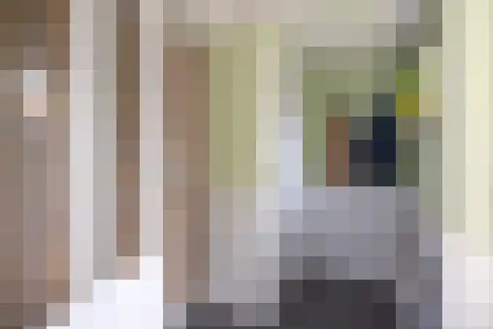 Nassaustraat 31 Rijssen thumbnail 21