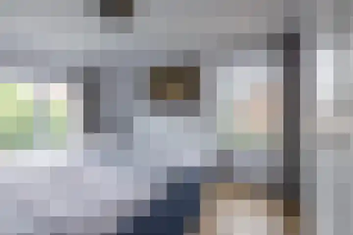 Nassaustraat 31 Rijssen thumbnail 25