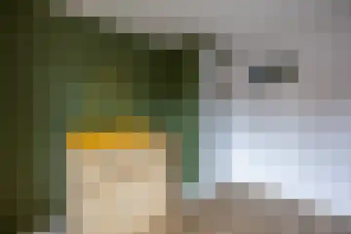 Nassaustraat 31 Rijssen thumbnail 36