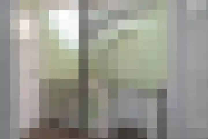 Nassaustraat 31 Rijssen thumbnail 41
