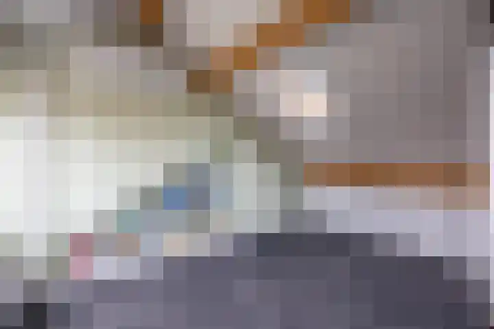 Nassaustraat 31 Rijssen thumbnail 43