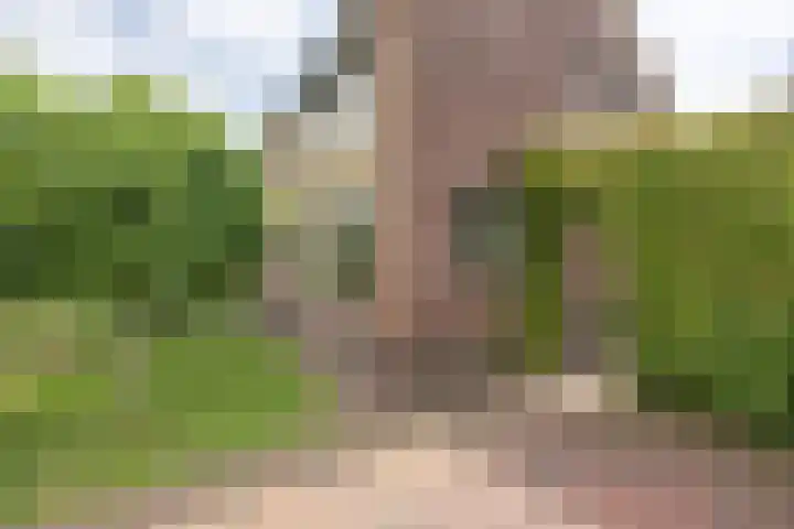 Nassaustraat 31 Rijssen thumbnail 5