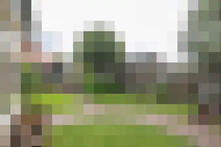 Nassaustraat 31 Rijssen thumbnail 50