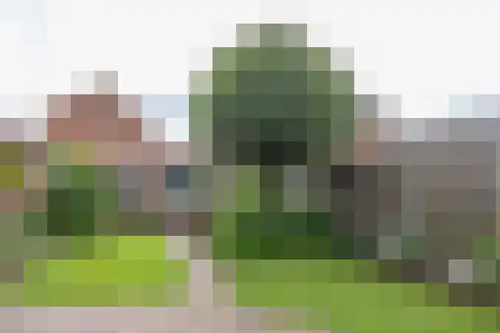 Nassaustraat 31 Rijssen thumbnail 51