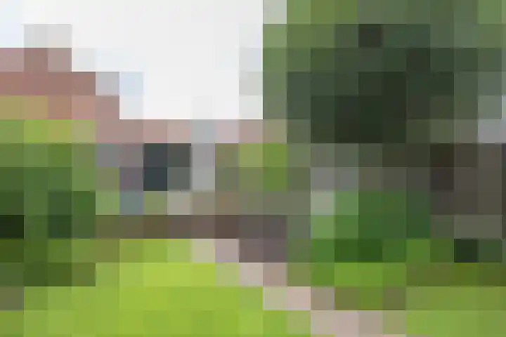Nassaustraat 31 Rijssen thumbnail 53