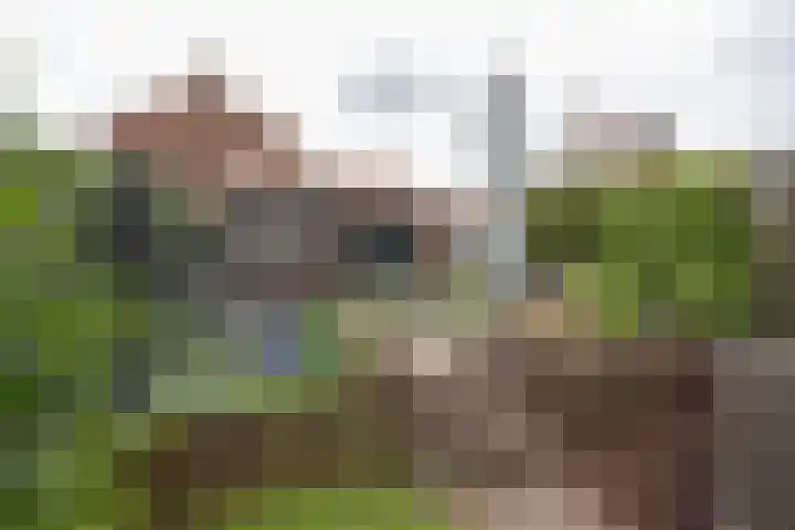 Nassaustraat 31 Rijssen thumbnail 55