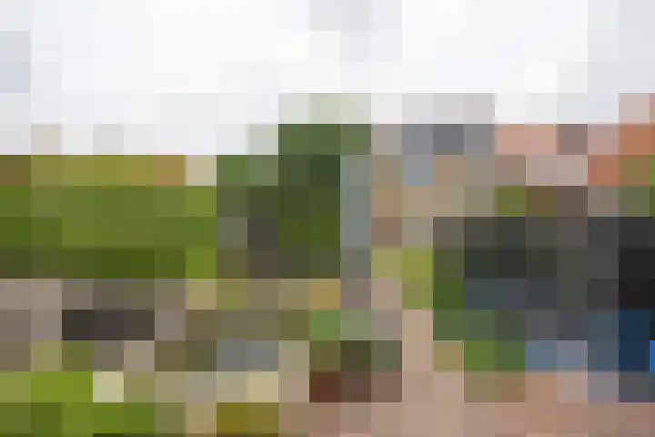 Nassaustraat 31 Rijssen thumbnail 58