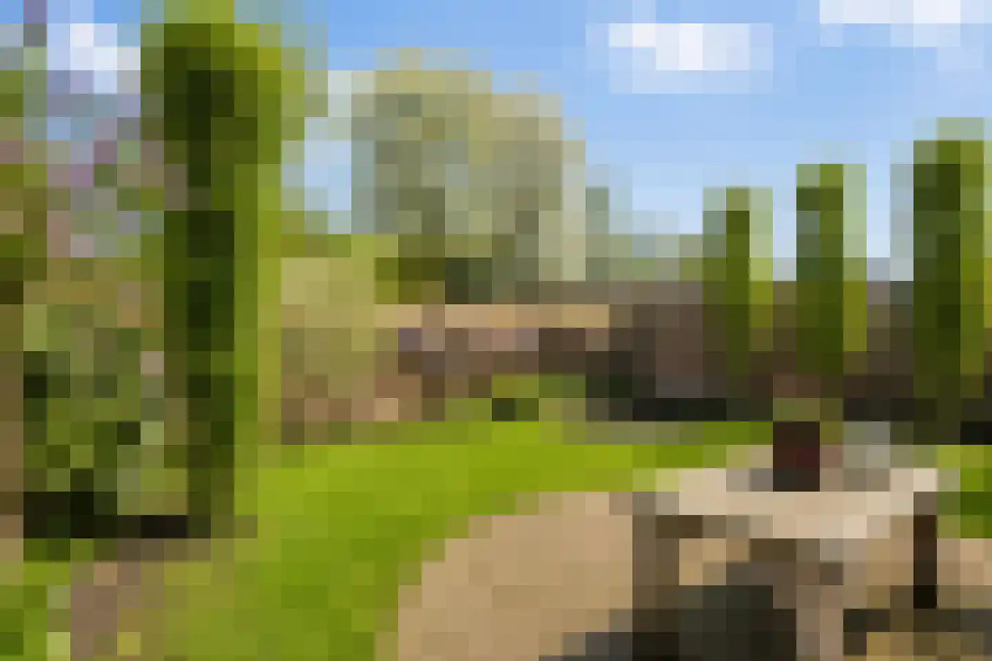 Nassaustraat 32 Best thumbnail 7