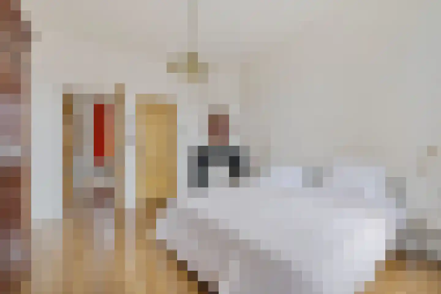 Nassaustraat 34 Utrecht thumbnail 28